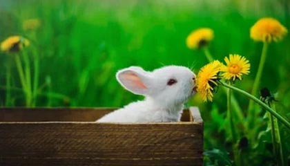 kaiyun-球员日常：明星明星的私密生活曝光，明星的隐私都包括哪些方面