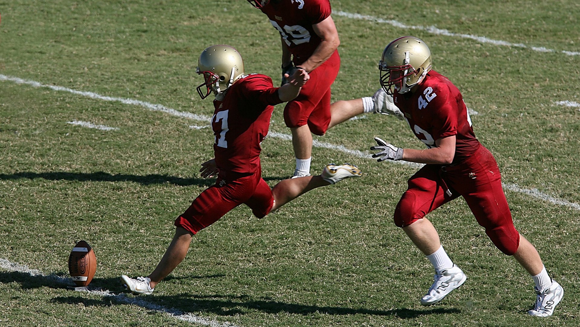 _湿地赛场：别样风景中的激烈角逐_，2020湿地主题绘画大赛